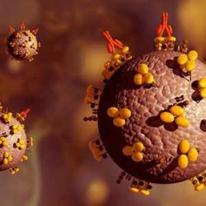 Vakcina protiv HIV. Postoji li cjepivo protiv HIV-a?