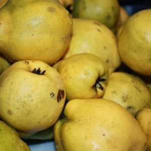 Džem od dunja sa limunom i oraha: korak po korak recept