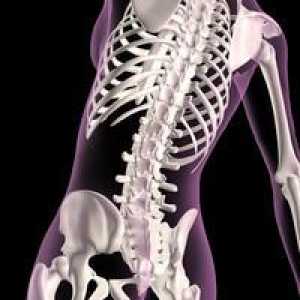 Važno je znati ime mobilne veze kostiju