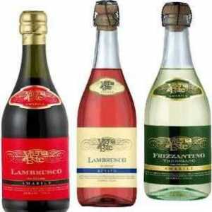 Lambrusco vino: izraz radosti i prskanja u čaši