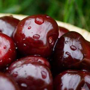Cherry chernokorka: ima sorte