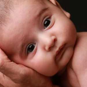 U koliko mjeseci dijete počinje da drži glavu: Savjeti za roditelje