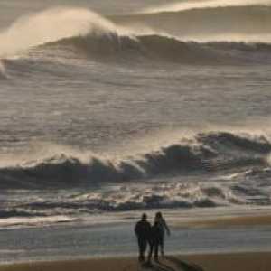 Waves: vrste talasa i definicija vala. Vrste elektromagnetskih i akustičnih talasa