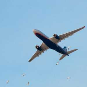Povratna karta ( "Aeroflot") pravila i plaćanje kazne