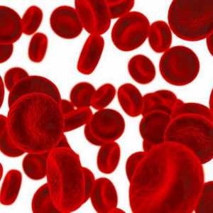 Poremećaji krvi: spisak od najopasnijih