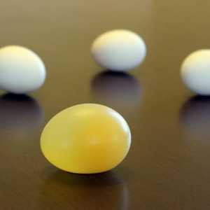 Zašto pola jaje razmazati pastu za zube? Eksperiment za djecu sa jajetom