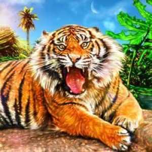 Pogledajte tumačenje snova: šta sanja tigar?