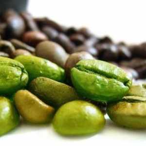 Zelena kafa cafe mince: recenzije