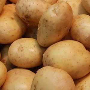 "Žukovski" (rani krompir) mišljenja. Sjemenskog krumpira "Žukovski"