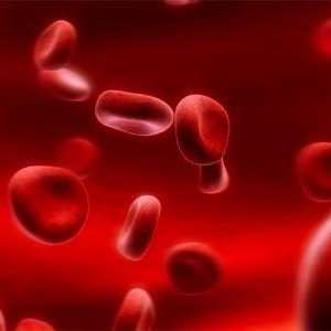 Da li znate šta krvna grupa odgovara svima?